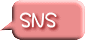 SNS